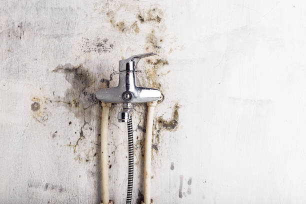 Best Affordable Mold Removal  in Center Point, NM