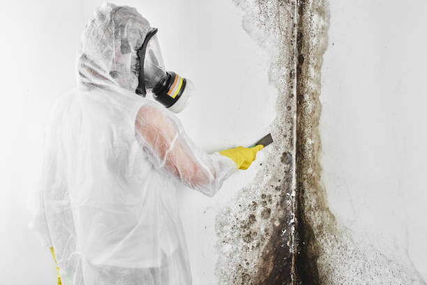 Best Mold Testing  in Center Point, NM