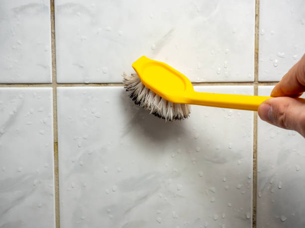 Trusted Center Point, NM Mold Removal Experts