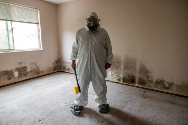Best Mold Cleaning Services  in Center Point, NM